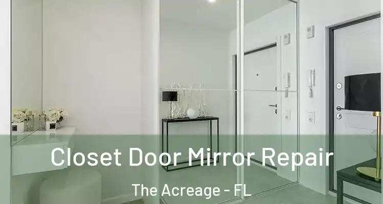  Closet Door Mirror Repair The Acreage - FL