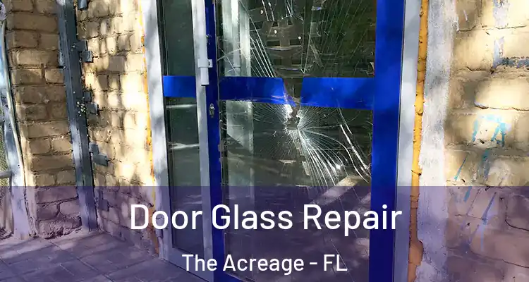  Door Glass Repair The Acreage - FL