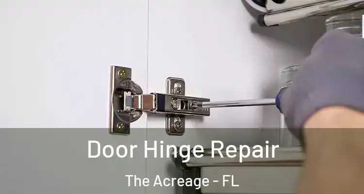  Door Hinge Repair The Acreage - FL