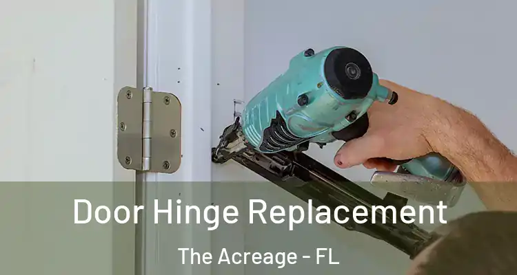  Door Hinge Replacement The Acreage - FL
