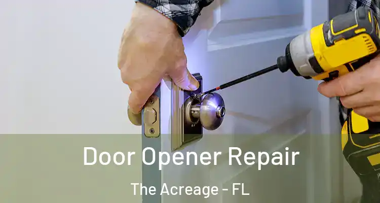  Door Opener Repair The Acreage - FL