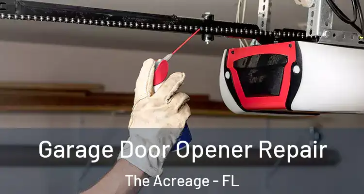  Garage Door Opener Repair The Acreage - FL