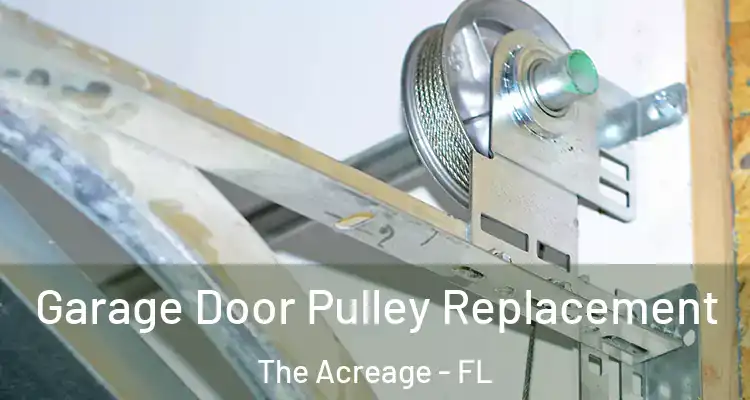 Garage Door Pulley Replacement The Acreage - FL
