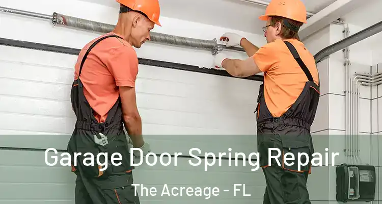  Garage Door Spring Repair The Acreage - FL