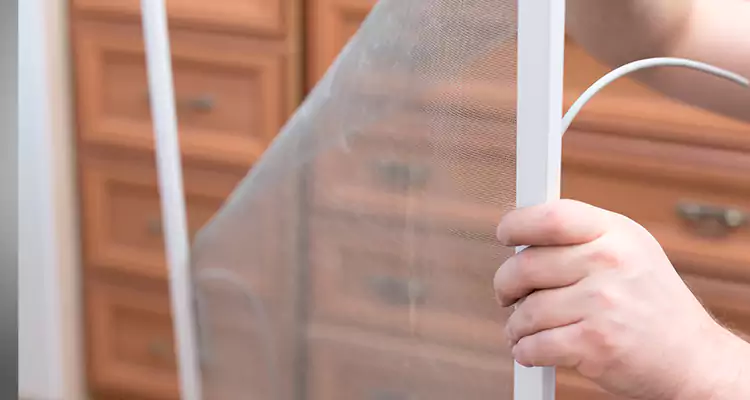 Privacy Mesh Screen Door Installation in The Acreage, FL