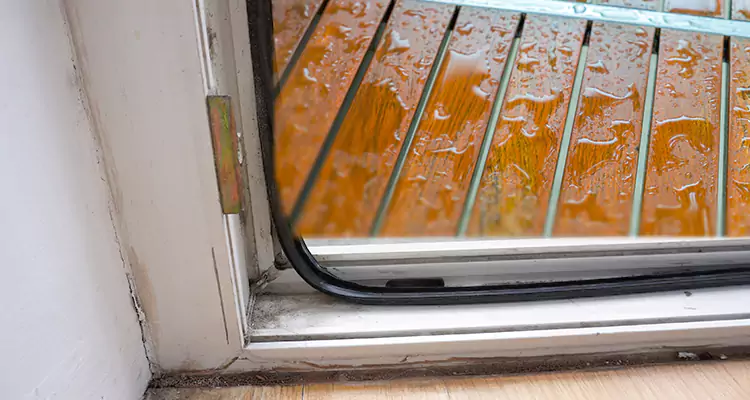 Water Leaking Wooden Patio Doors Repair in The Acreage, FL
