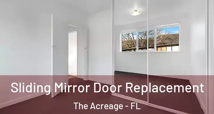  Sliding Mirror Door Replacement The Acreage - FL